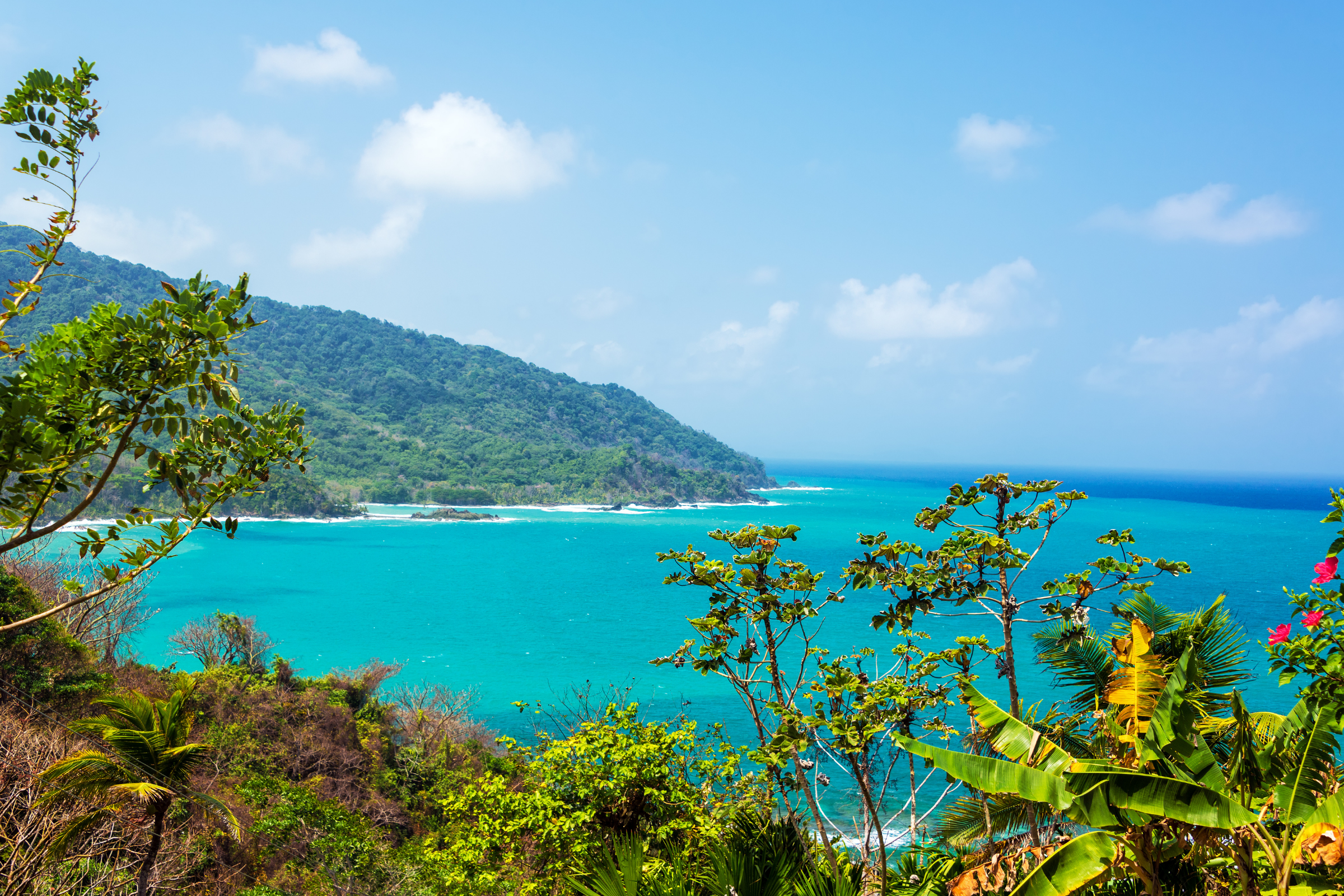 37 darien national park, panama.webp